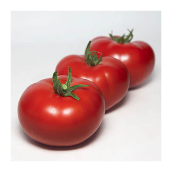 Семена томата индетерминантного КС 301 F1 Kitano Seeds от 100 шт, Фасовка: Проф упаковка 100 шт | Agriks