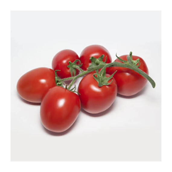 Семена томата индетерминантного Банти (КС 3819) F1 Kitano Seeds от 100 шт, Фасовка: Проф упаковка 100 шт | Agriks