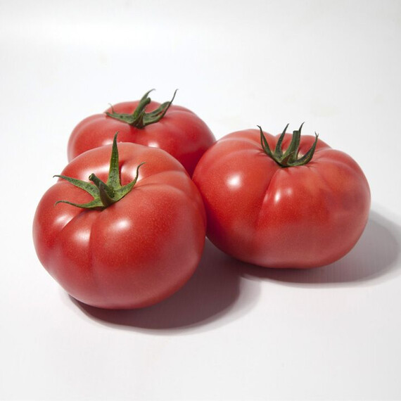 Семена томата индетерминантного КС 1157 F1 Kitano Seeds от 100 шт, Фасовка: Проф упаковка 100 шт | Agriks